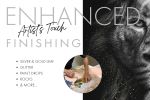 No Monkey Business Gallery Wrap