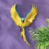 Phineas The Flapping Macaw Plaque