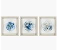 Stella Framed Art, Set of 3