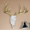 Large White + Gold Antlers Deer Head Skull Faux Taxidermy